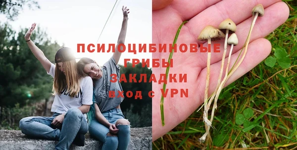 героин Алзамай
