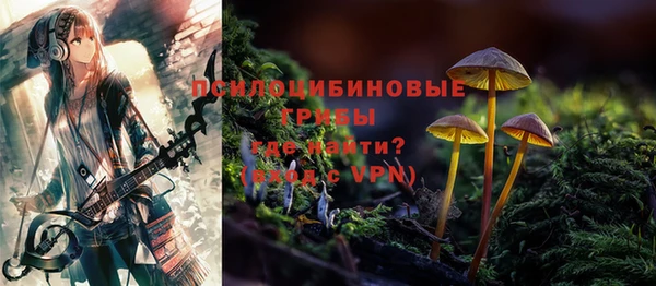 спиды Кулебаки